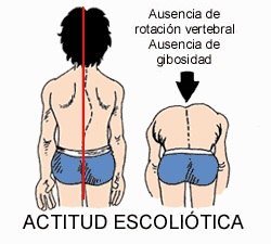 La formación de la presencia correcta por los medios de la cultura física